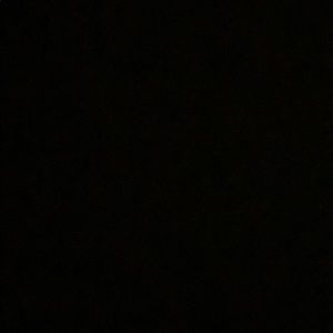 Meet your Posher, Carter